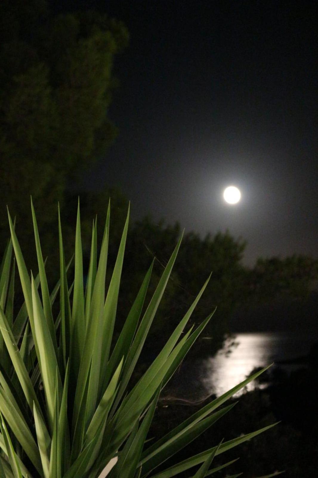 Holiday Hvar Vrbanj Bagian luar foto